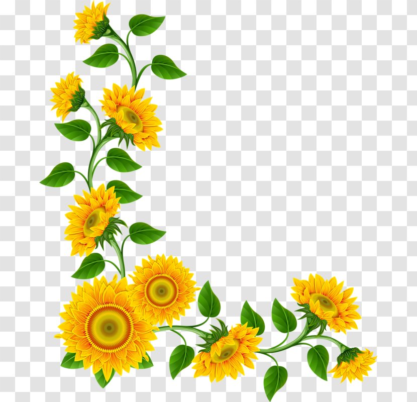 Common Sunflower Clip Art - Floral Corner Transparent PNG