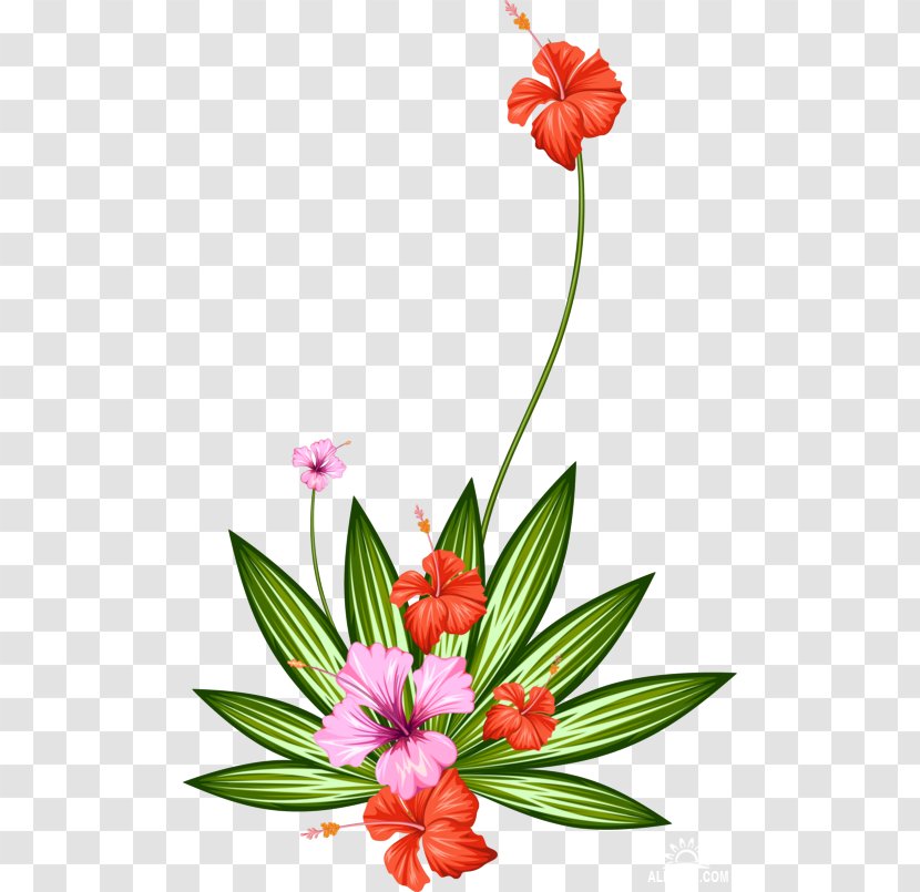 Flower Paper Tropics Floral Design Transparent PNG