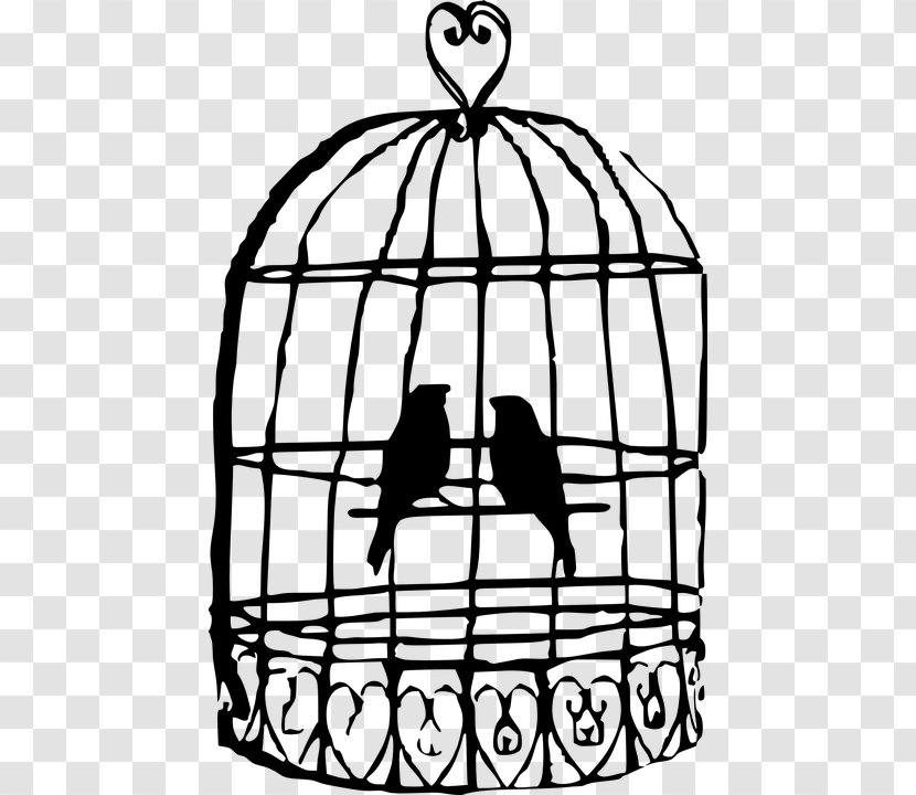 Birdcage Parrot Clip Art - Line - Bird Transparent PNG