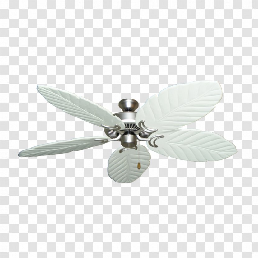 Ceiling Fans Lighting - Lamp - Light Transparent PNG