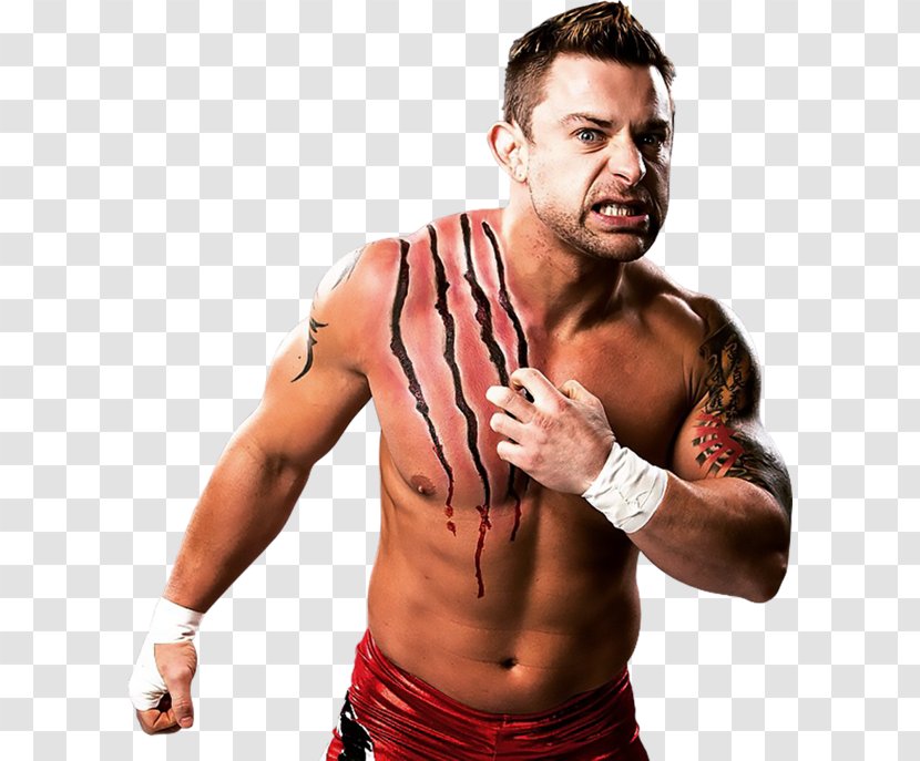 Davey Richards Impact World Championship The American Wolves Wrestling Professional - Cartoon - Frame Transparent PNG