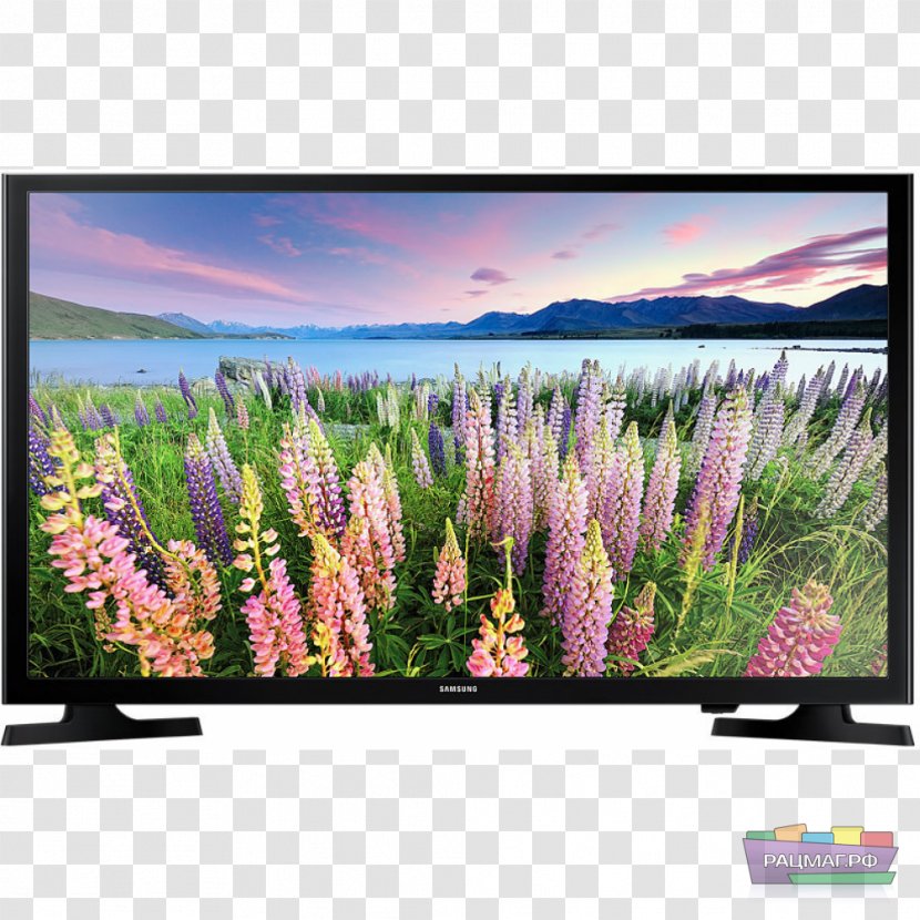 Samsung J5270 J5200 LED-backlit LCD Smart TV - Grass Family Transparent PNG