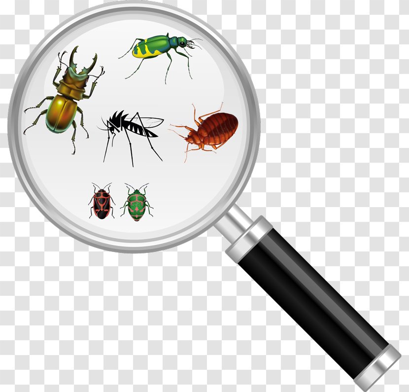Insect Cockroach Pest Control Magnifying Glass - Bed Bug - Tick Transparent PNG