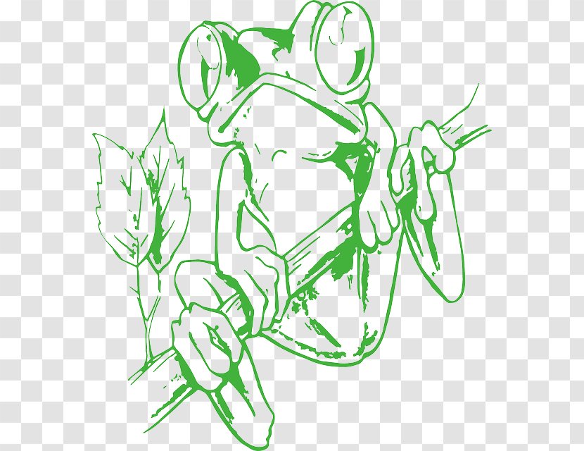 All About Frogs Sticker Clip Art - Drawing - Amphibian Transparent PNG