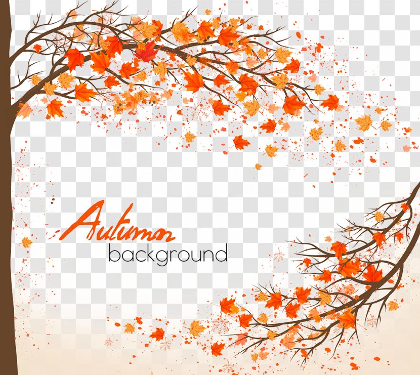 Autumn Maple Leaf - Flower - Beautiful Background Material Transparent PNG