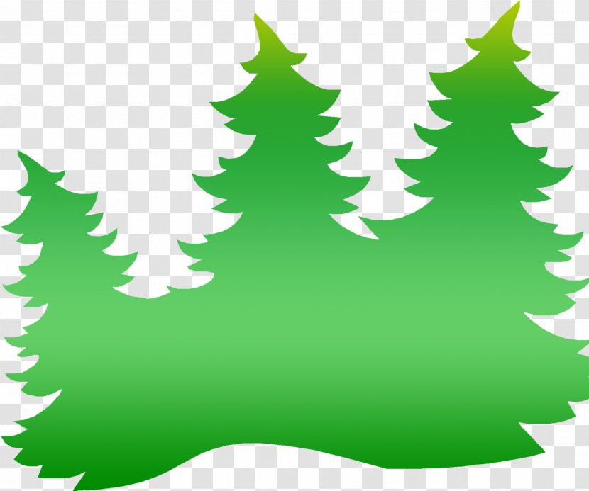 Spruce Christmas Tree Fir Clip Art - Woody Plant - Campfire Pictures Transparent PNG