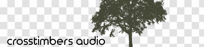 Branch Silhouette Tree - Architecture - Taobao Banner Transparent PNG