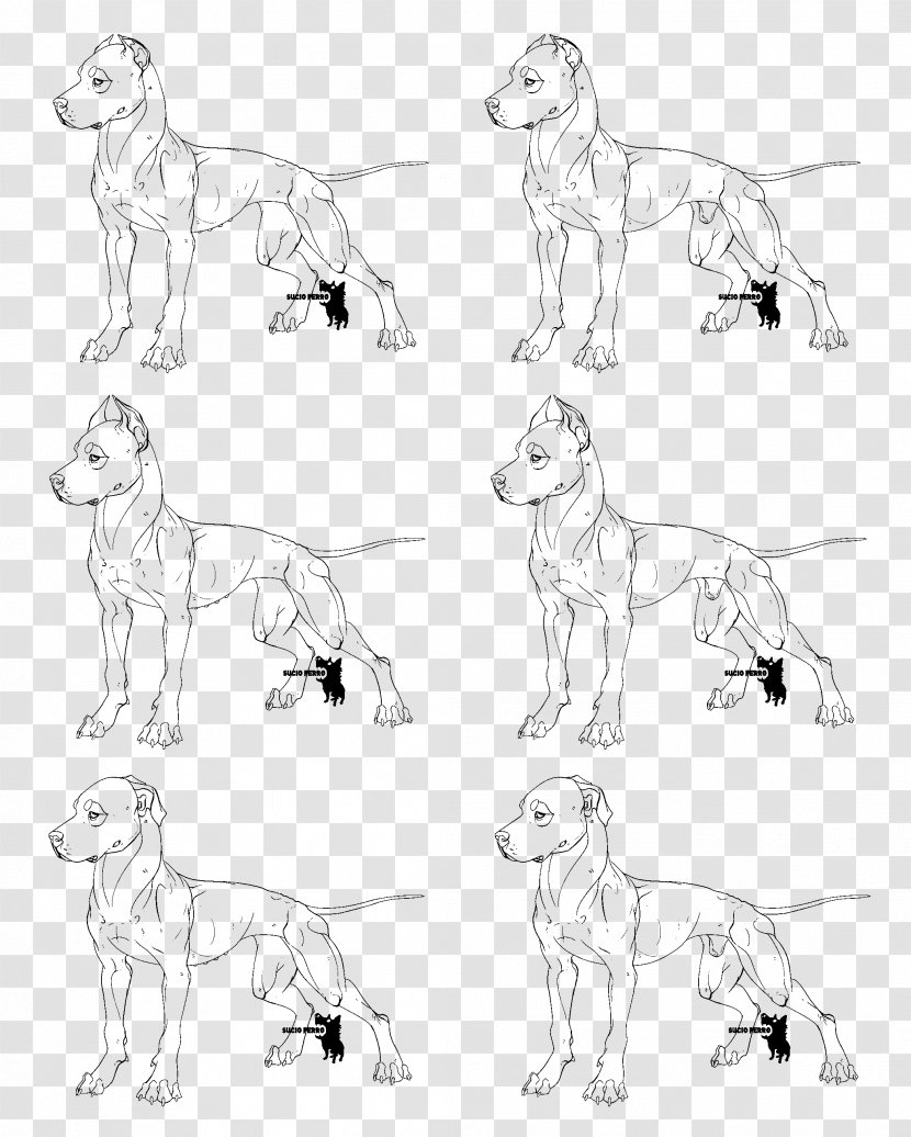 Dog Breed American Pit Bull Terrier Line Art Sketch - Paint Lines Transparent PNG