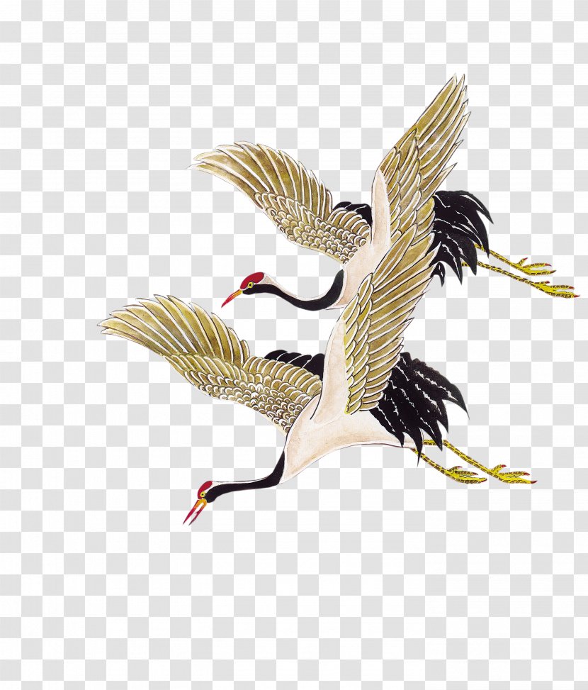 Crane Bird Transparent PNG