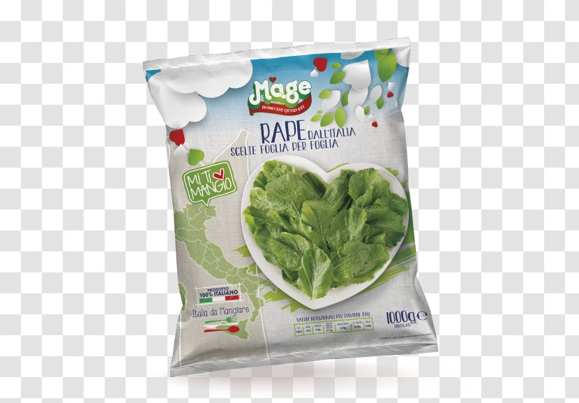 Romaine Lettuce Associazione Di Produttori Promarche Vegetable Business - Industry - RapeSeed Transparent PNG