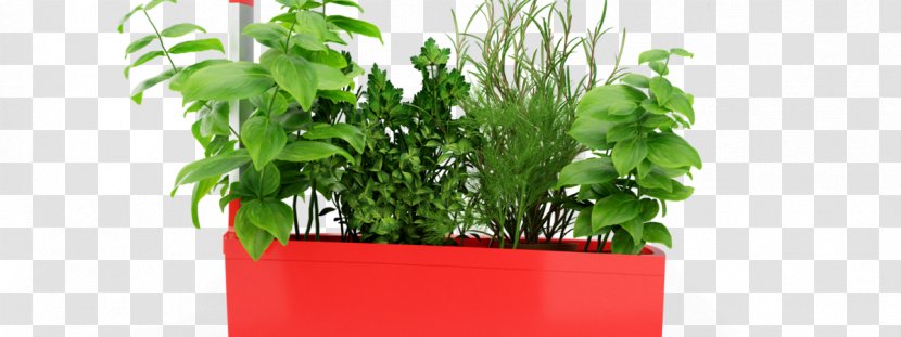 Tregren T6 Kitchen Garden Gardening - Hydroponic Basil Transparent PNG
