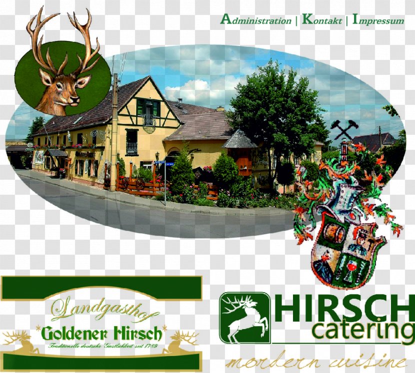 Hotel Goldener Hirsch Restaurant Inn - Schkeuditz Transparent PNG