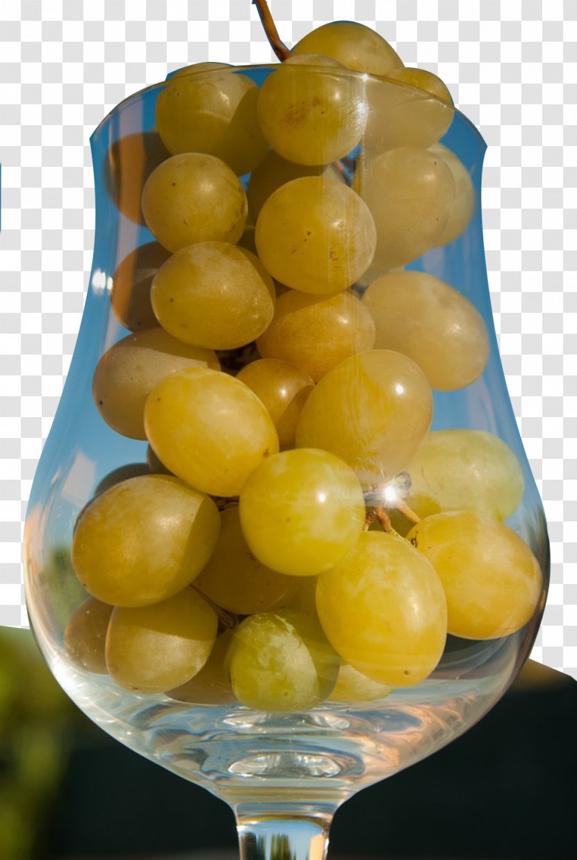 White Wine Grape Harvest - Seedless Fruit - Cup Of Grapes Transparent PNG