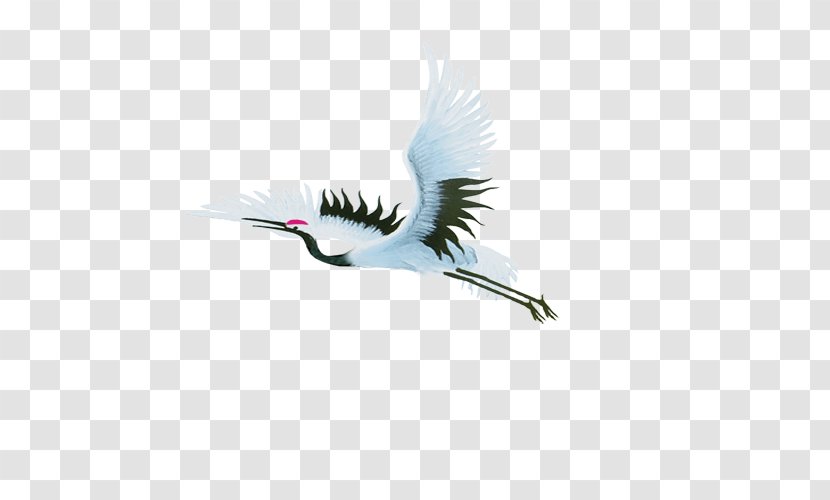 Flying Red-crowned Crane - Flight - Red Crowned Transparent PNG