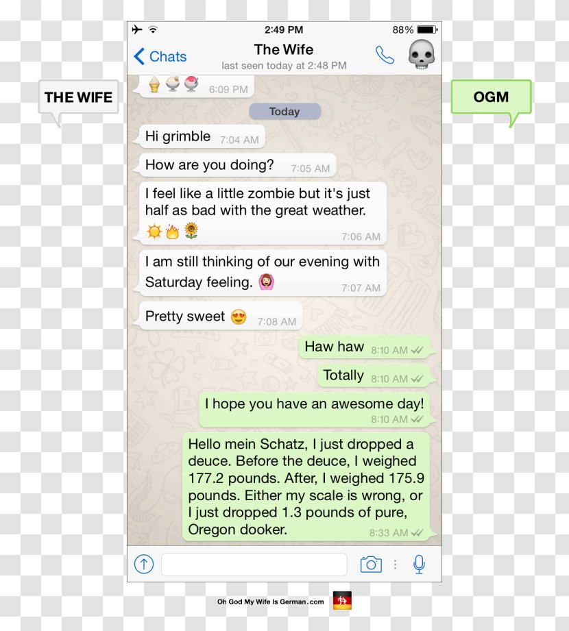 WhatsApp Message Text Messaging Instant Online Chat - Software - Bay Single Life Transparent PNG