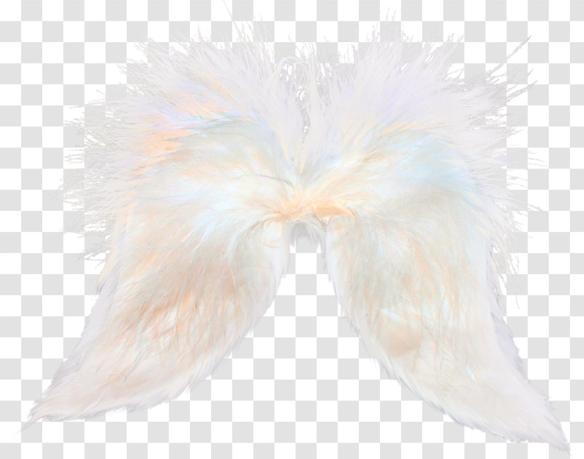 Feather Flight Bird - Aile - White Feathers Transparent PNG