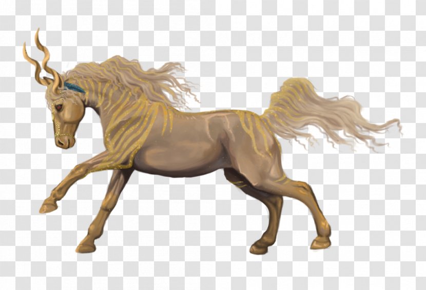 Mustang Foal Stallion Mare Pony Transparent PNG