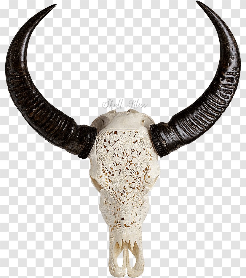 Horn Antelope Cow-goat Family Antler Skull - Bovine Animal Figure Transparent PNG
