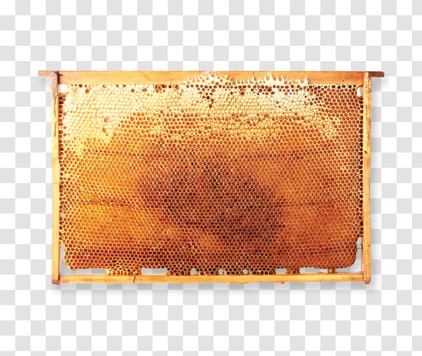 Beekeeper Honeycomb Hive Frame - Rectangle - Bee Transparent PNG