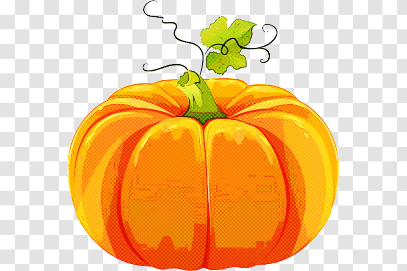 Pumpkin Transparent PNG