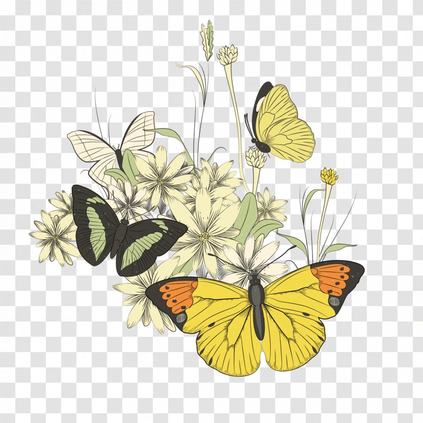 Monarch Butterfly Illustration - Flower Transparent PNG