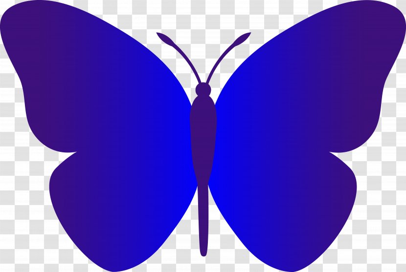 Butterfly Black And White Free Content Clip Art - Drawing - Cut Toe Cliparts Transparent PNG