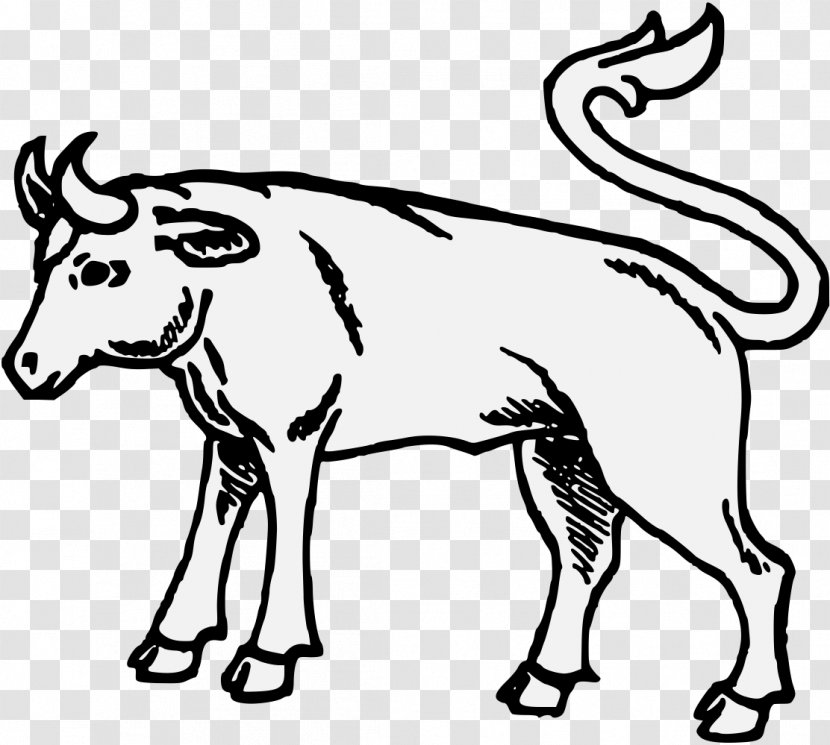 Cattle Horn Ox Bull Bovinae - Mammal Transparent PNG