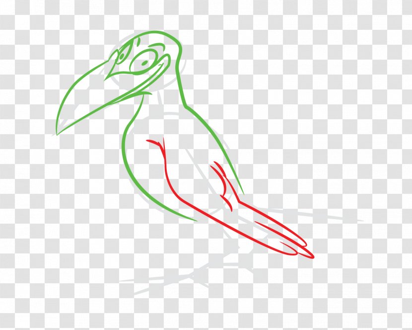 Beak Clip Art /m/02csf Illustration Drawing - Hand - How To Draw A Cartoon Velociraptor Transparent PNG