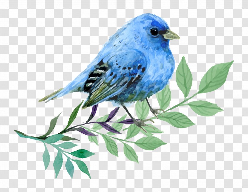 Bluebirds Image Watercolor Painting - Lazuli Bunting - Bird Transparent PNG