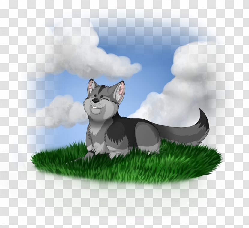 Kitten Whiskers Tail Wildlife - Frenzy Transparent PNG