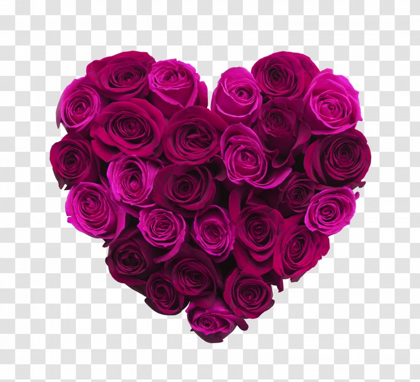 Valentine's Day Gift Heart February 14 Love - Rose Order - Purple Transparent PNG