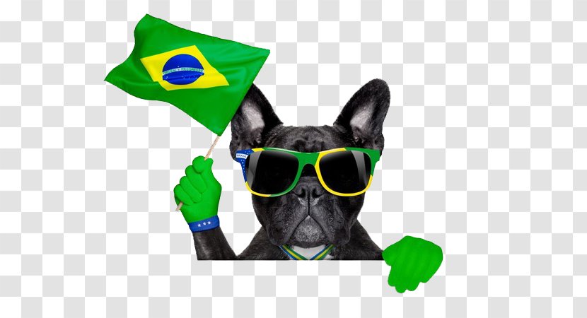 Fila Brasileiro 2014 FIFA World Cup Brazil National Football Team Stock Photography - Sport - A Black Dog Transparent PNG
