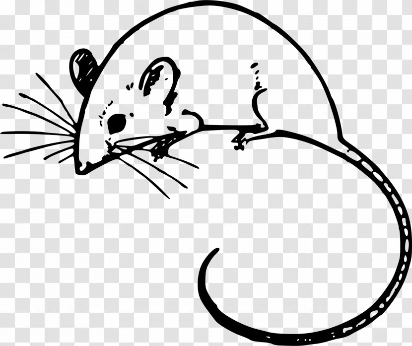 Mouse Line Art Rat Pest Muridae - Snout Whiskers Transparent PNG