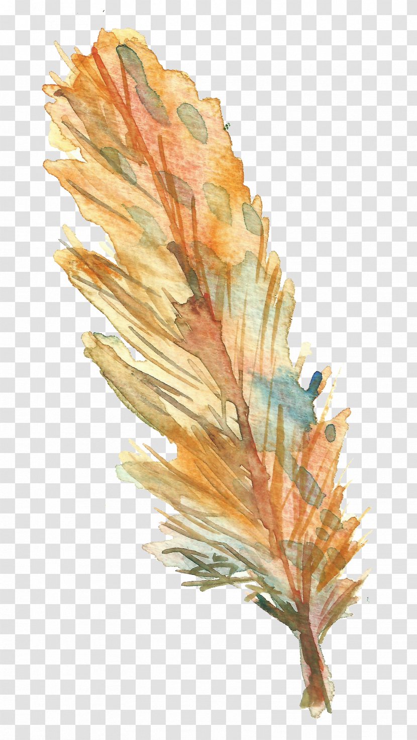 Bird Feather Drawing - Yellow Transparent PNG