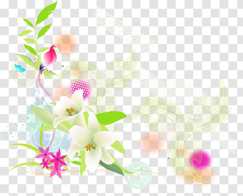 Floral Design Flower - Plant Transparent PNG