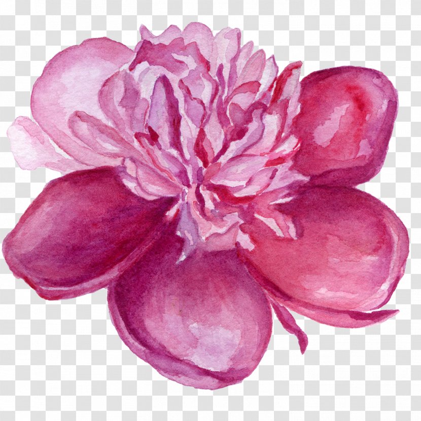 Flower Violet Watercolor Painting Lilac Clip Art - Blossom Transparent PNG
