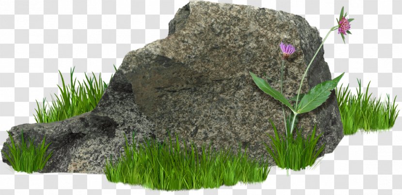 Rock Clip Art - Grass Transparent PNG