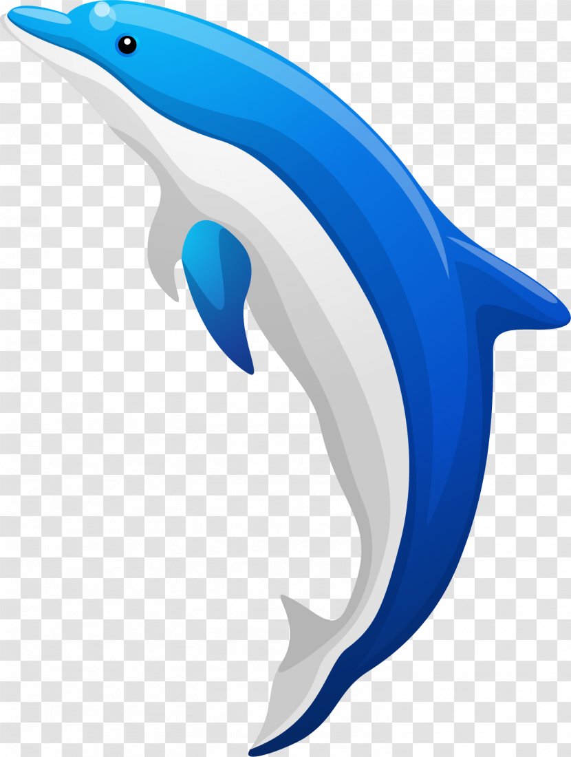 Common Bottlenose Dolphin Tucuxi - Marine Mammal - Cartoon Blue Transparent PNG