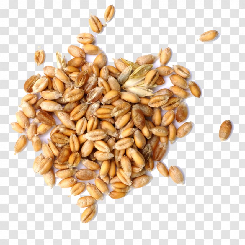 Cereal Market Analysis Food Grain - Germinated Wheat Will Buckle Creative HD Free Transparent PNG