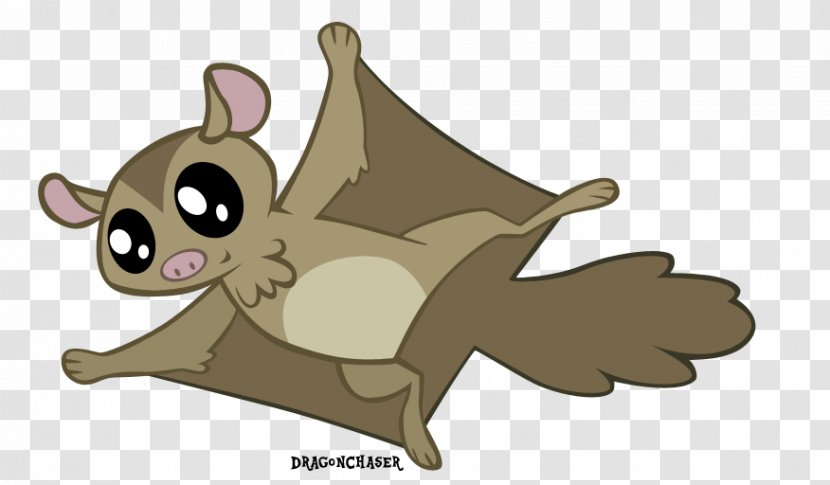 Rainbow Dash Flying Squirrel Bat Rodent - My Little Pony Friendship Is Magic Transparent PNG