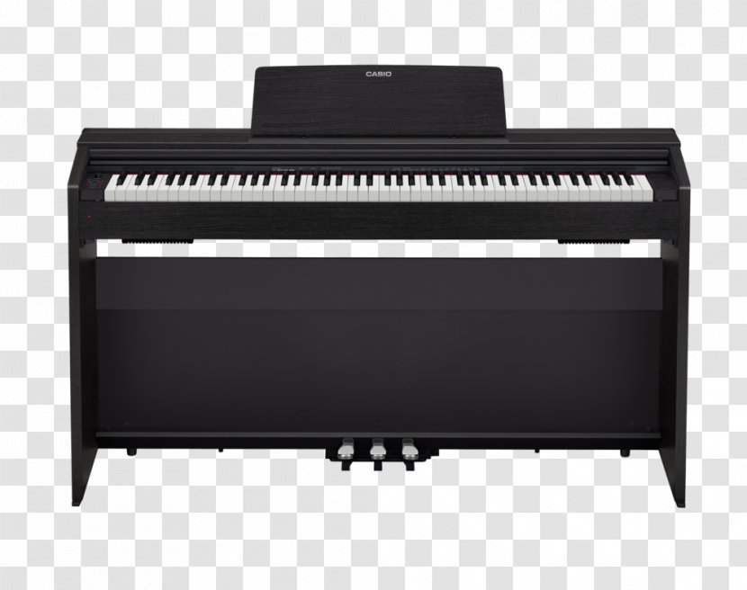 Privia Digital Piano Electronic Musical Instruments - Cartoon Transparent PNG