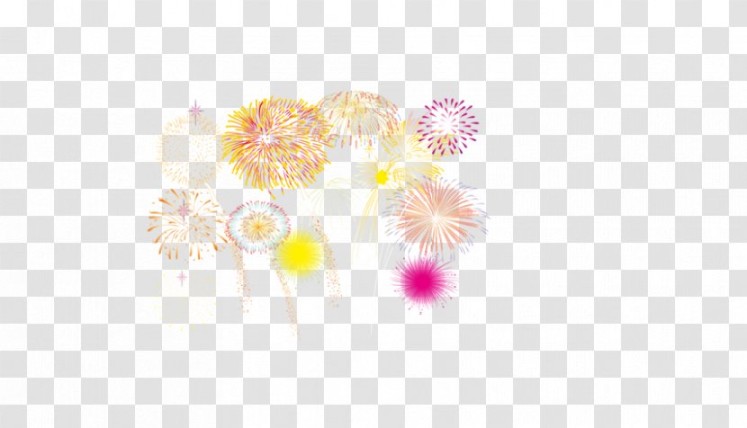 Petal Computer Pattern - Flower - Fireworks Transparent PNG