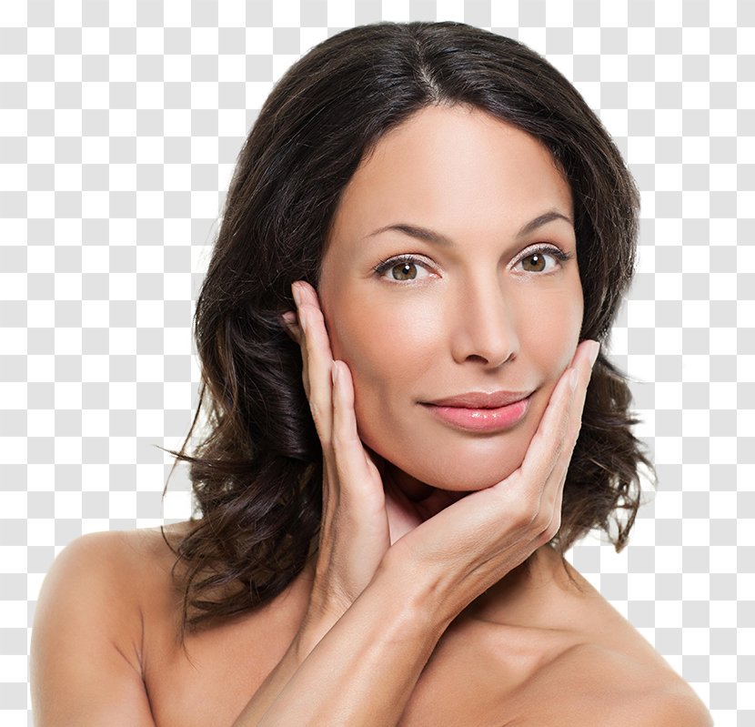 Cosmetology Aesthetic Medicine Hair Coloring Anti-aging Cream - Eyebrow - Estetica Transparent PNG