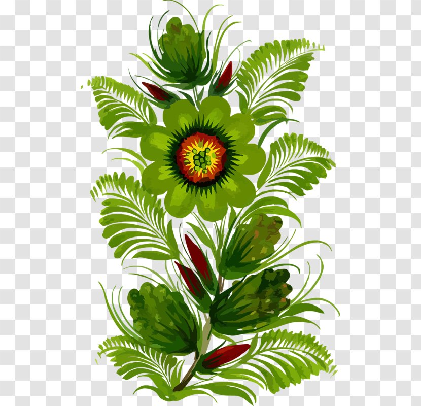 Watercolor Floral Background - Flower - Vascular Plant Leaf Transparent PNG