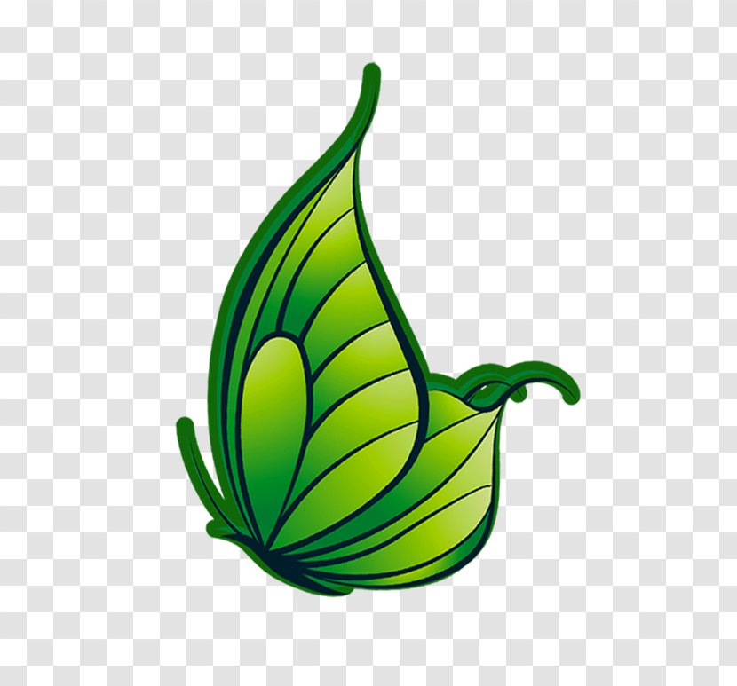 Butterfly - Plant - Decorative Transparent PNG