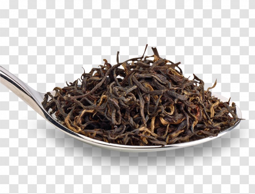 Lapsang Souchong Nilgiri Tea White Earl Grey - Baihao Yinzhen Transparent PNG