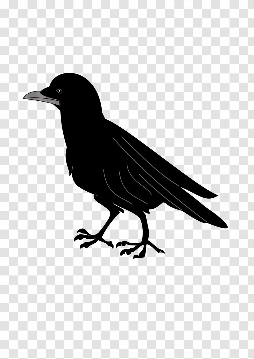 Coat Of Arms Blazon Common Raven Clip Art - Crow - Creative Crows Transparent PNG