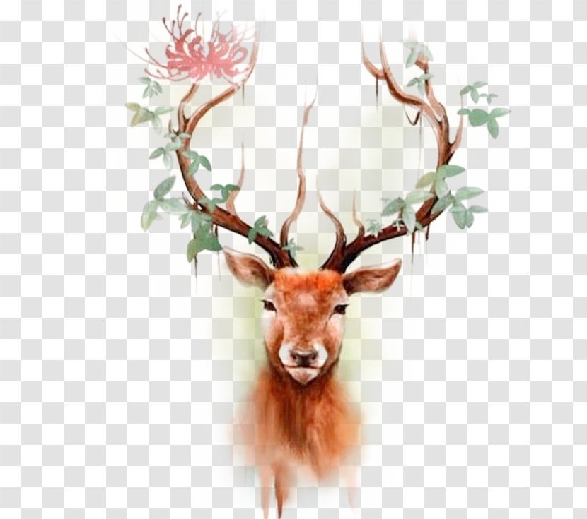Deer Elk Moose Tattoo Paper - Color Reindeer Head Transparent PNG