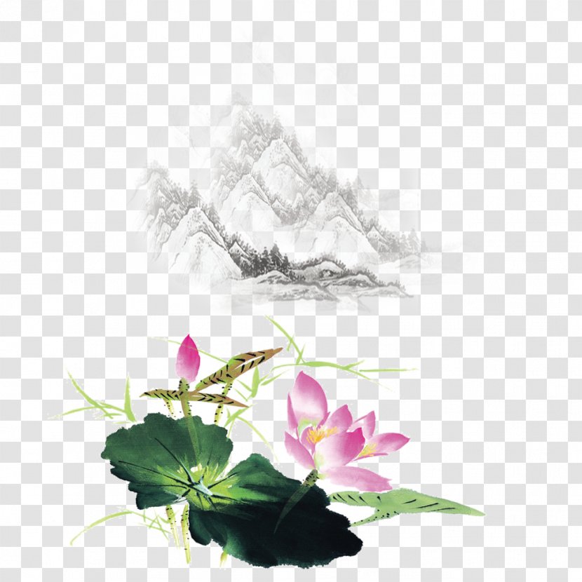 Jing County, Anhui Ink Wash Painting Nelumbo Nucifera - Pink - Lotus Leaf Transparent PNG