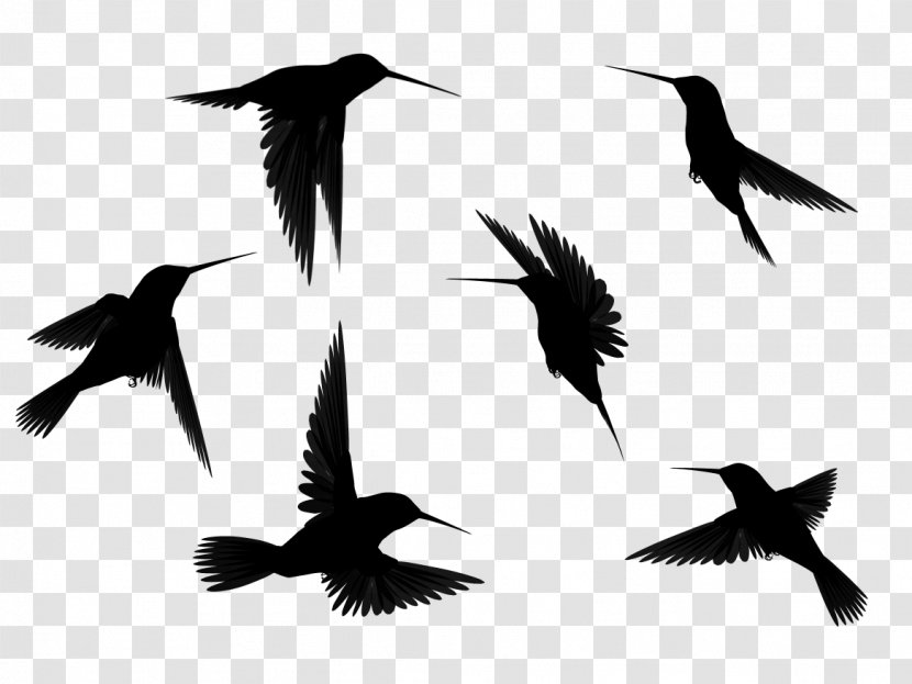 Bird Flight Crows Clip Art - Simple Transparent PNG